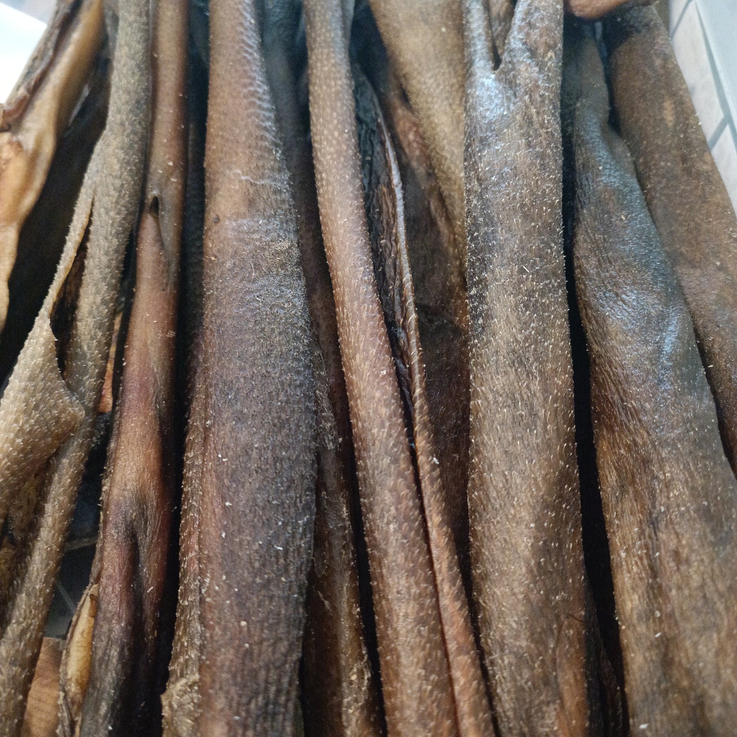 Peau de sanglier 50 cm (2x25 cm)