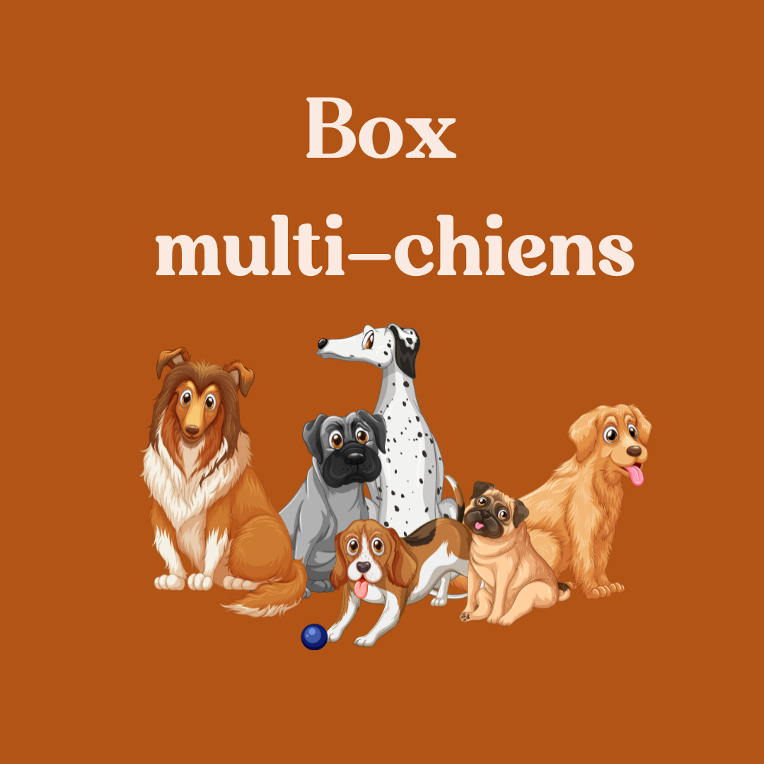 Box famille nombreuse
