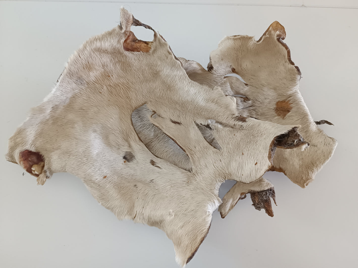 Plaque de peau de bœuf avec poils