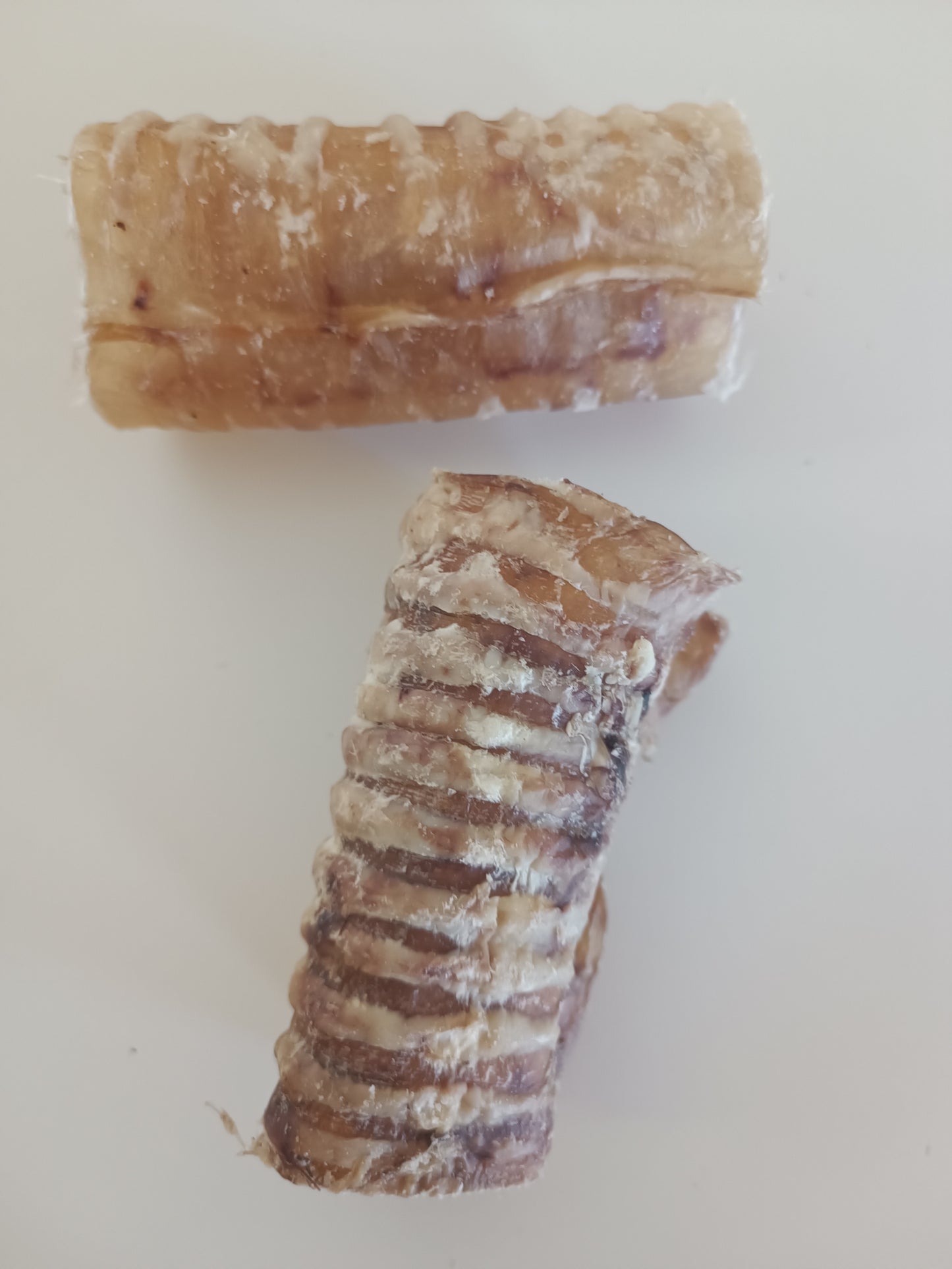 Trachée de bœuf 10/12cm