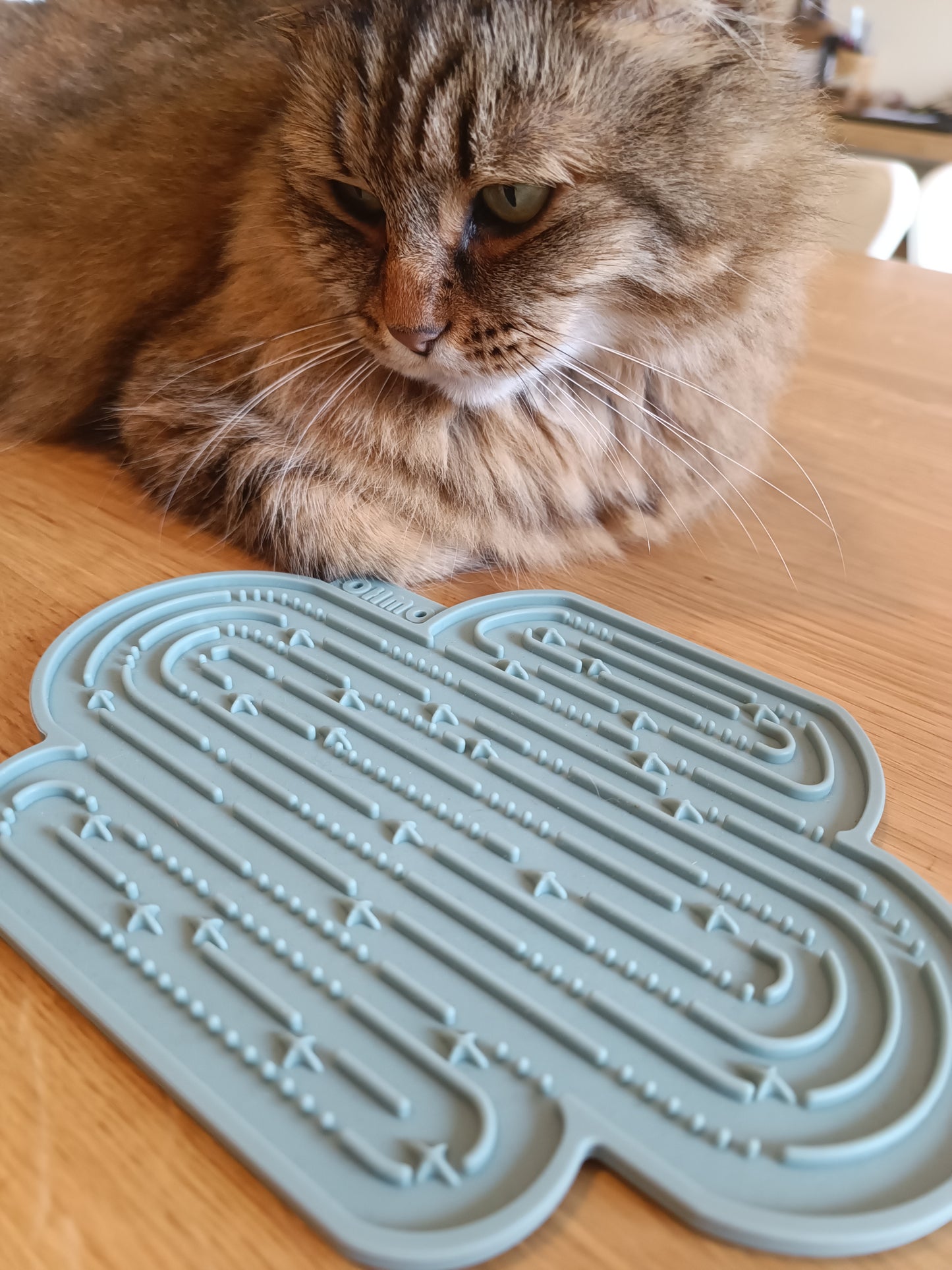 Tapis de léchage