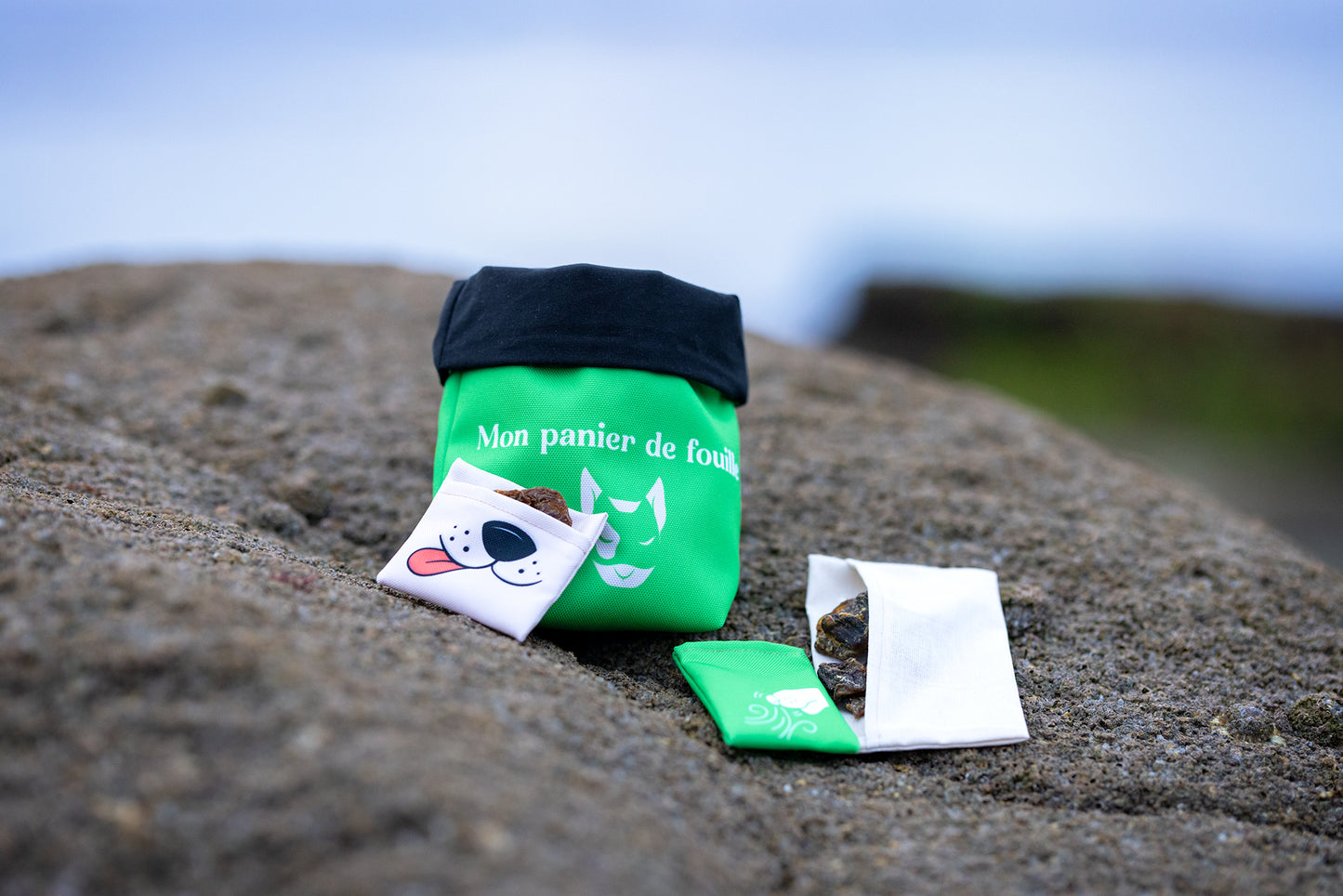 Le panier de fouille
