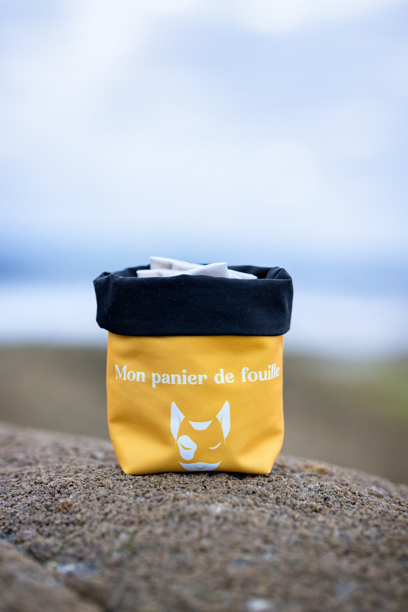 Le panier de fouille