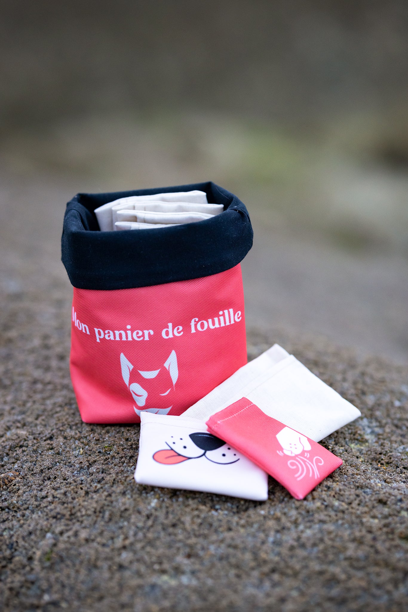 Le panier de fouille