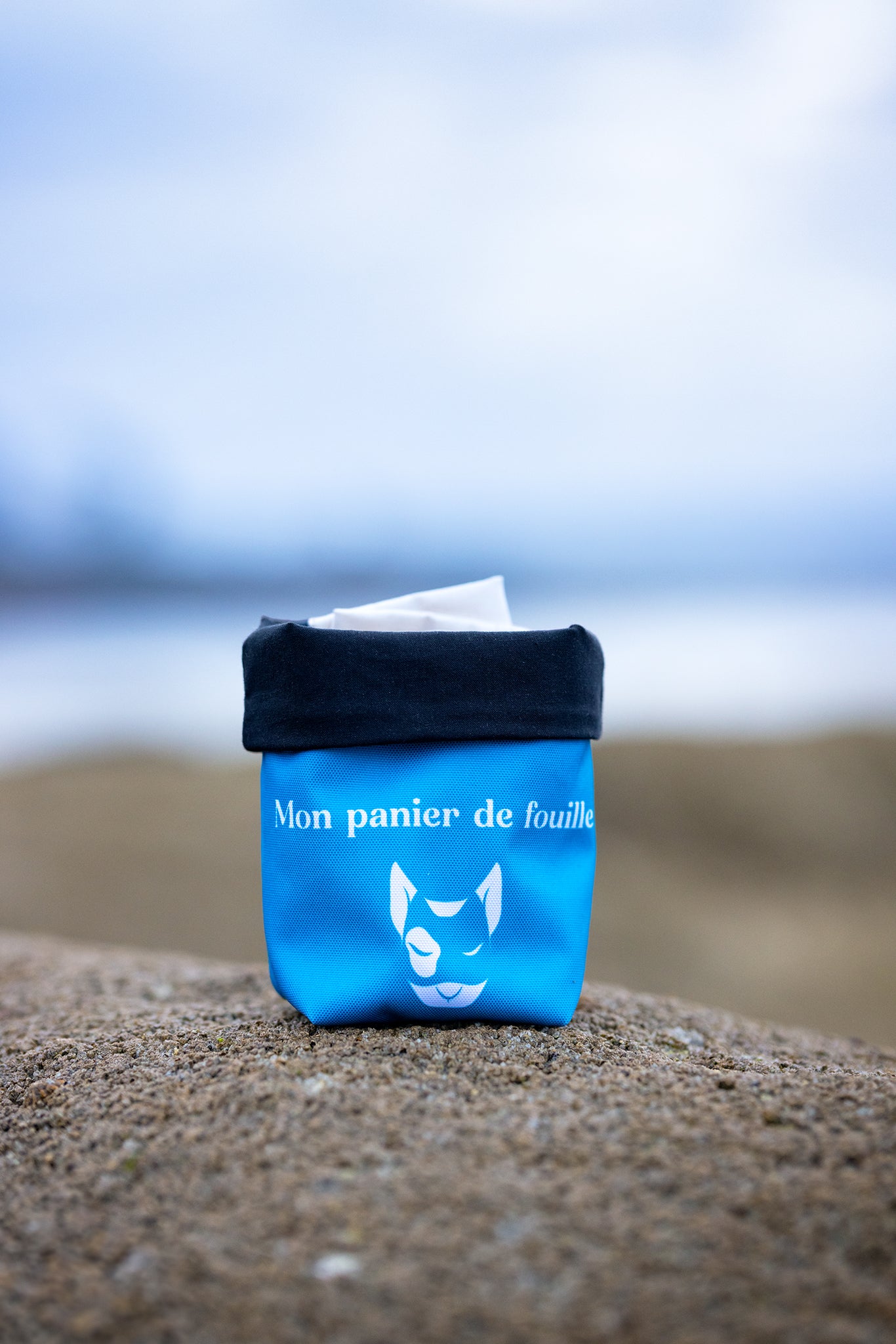 Le panier de fouille