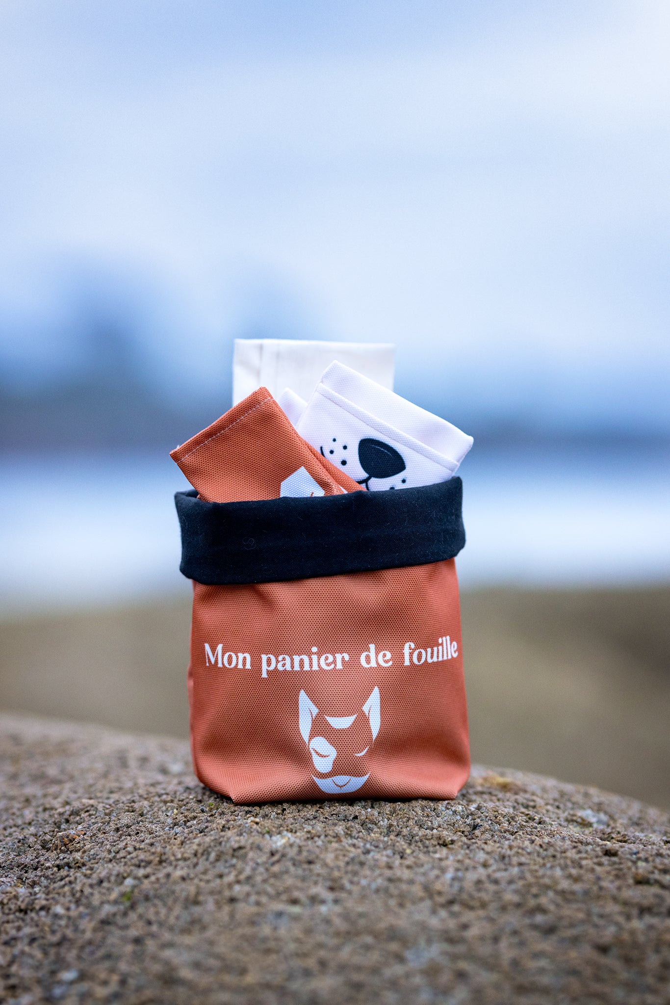 Le panier de fouille