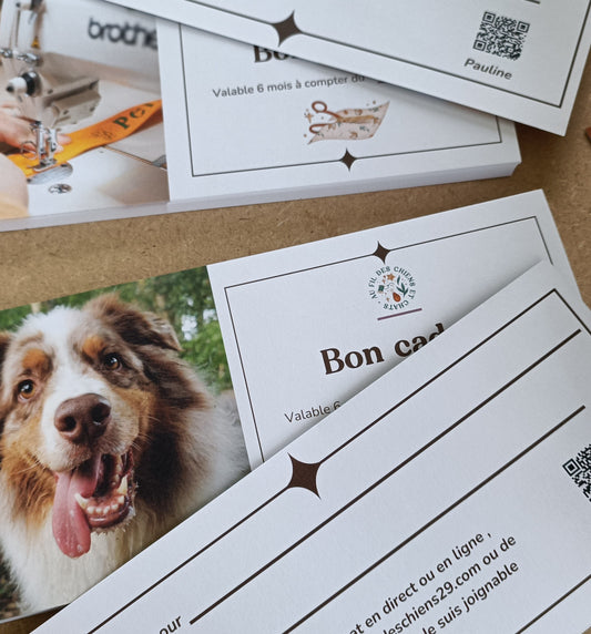 Carte cadeau au fil des chiens et chats